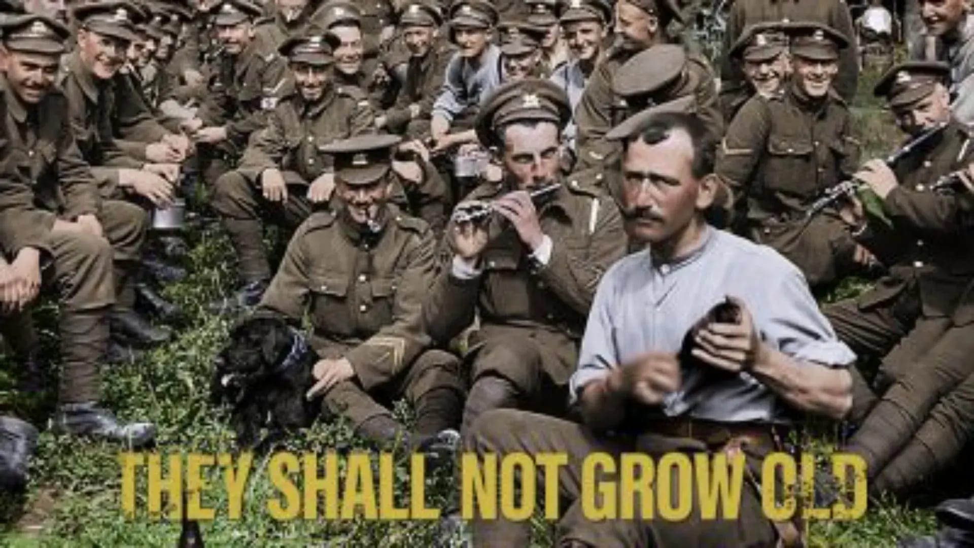 آنها نباید پیر شوند