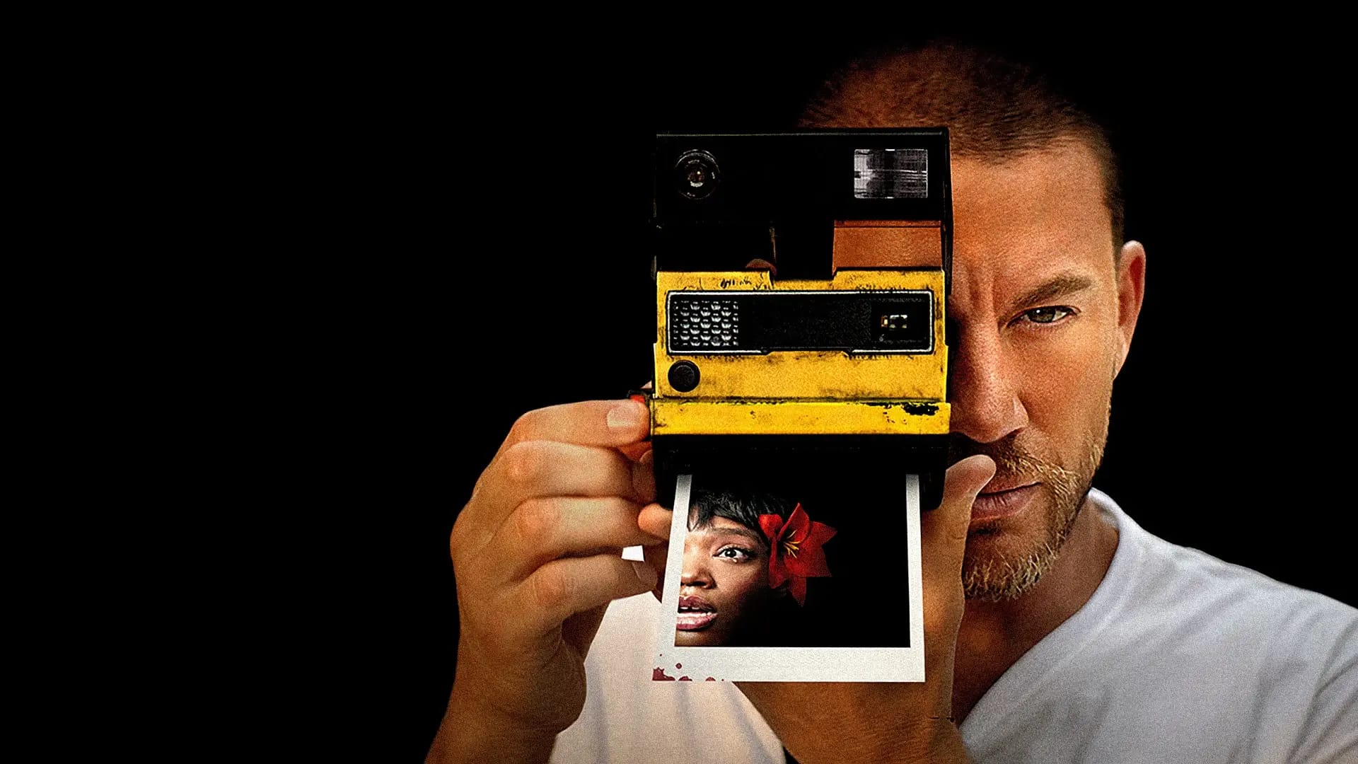 دو بار پلک بزن