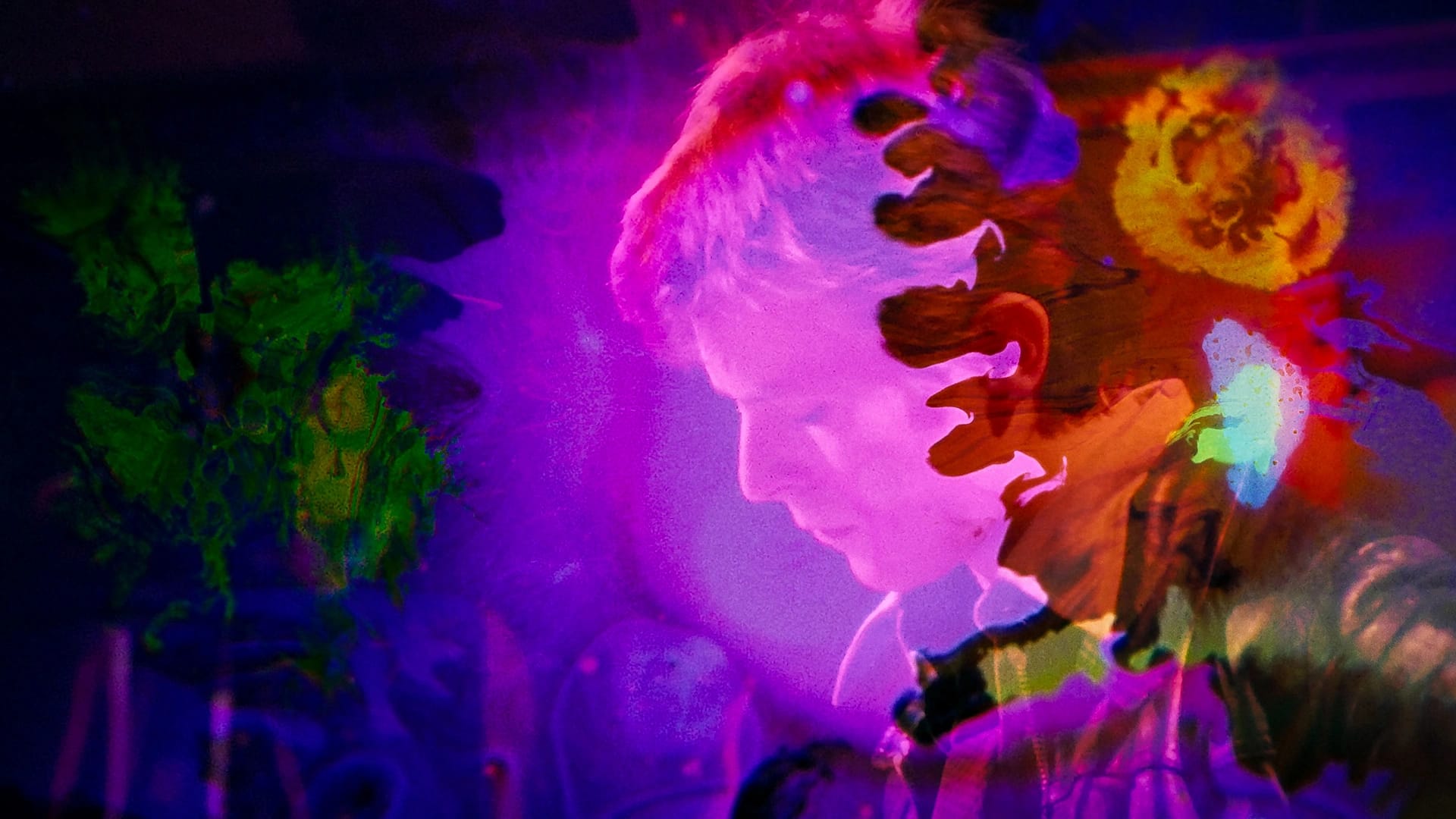 رویای مهتابی