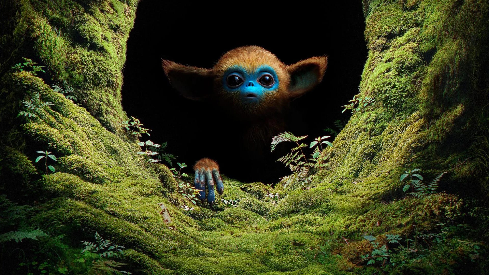 افسانه اوچی