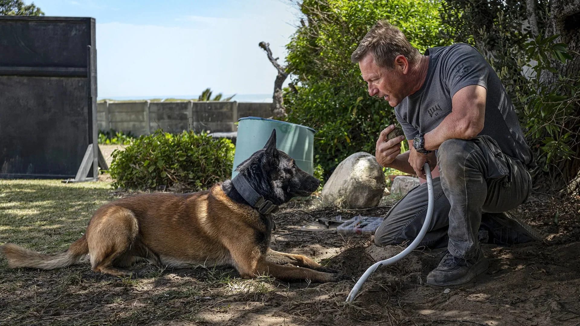 پوزه: شهر گرگ ها