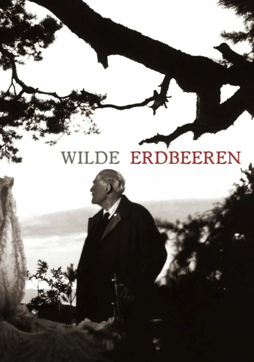 توت فرنگی های وحشی