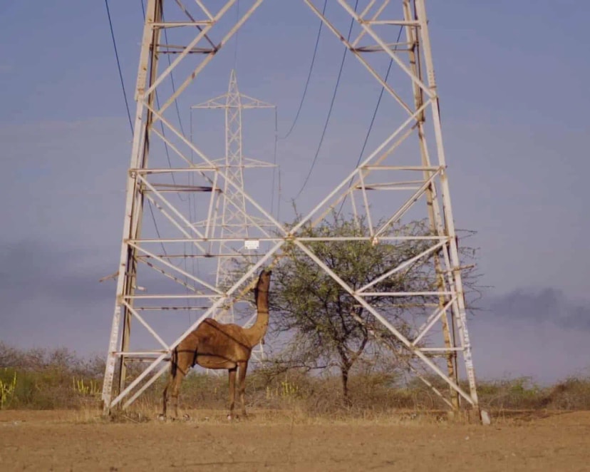اخبار ابتدایی در مورد فیلم Under the Open Sky