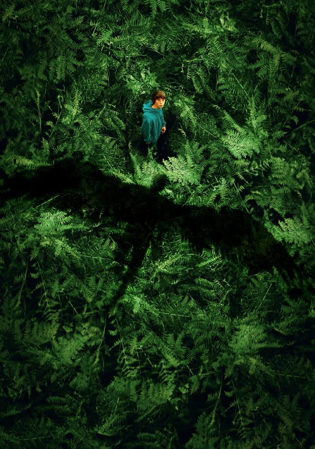 پادشاهی حیوانات