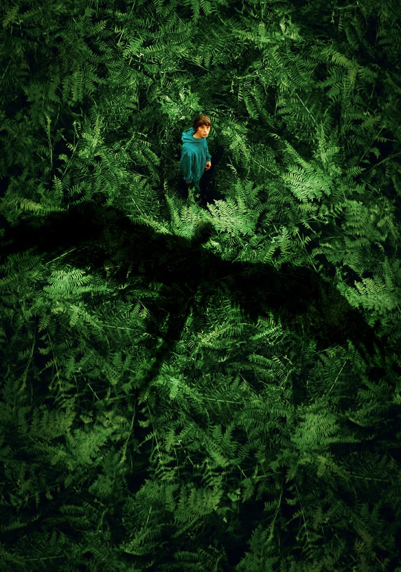 پادشاهی حیوانات