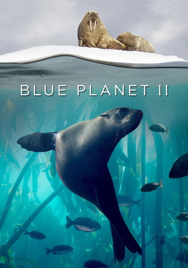 سیاره آبی دوم