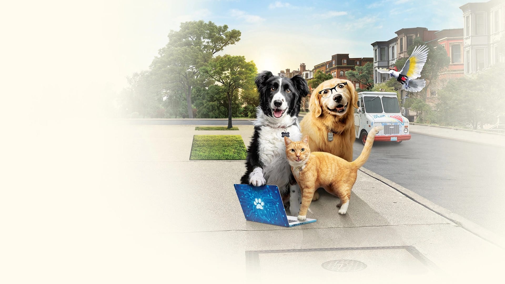 گربه ها و سگ ها 3: پنجه ها متحد می شوند