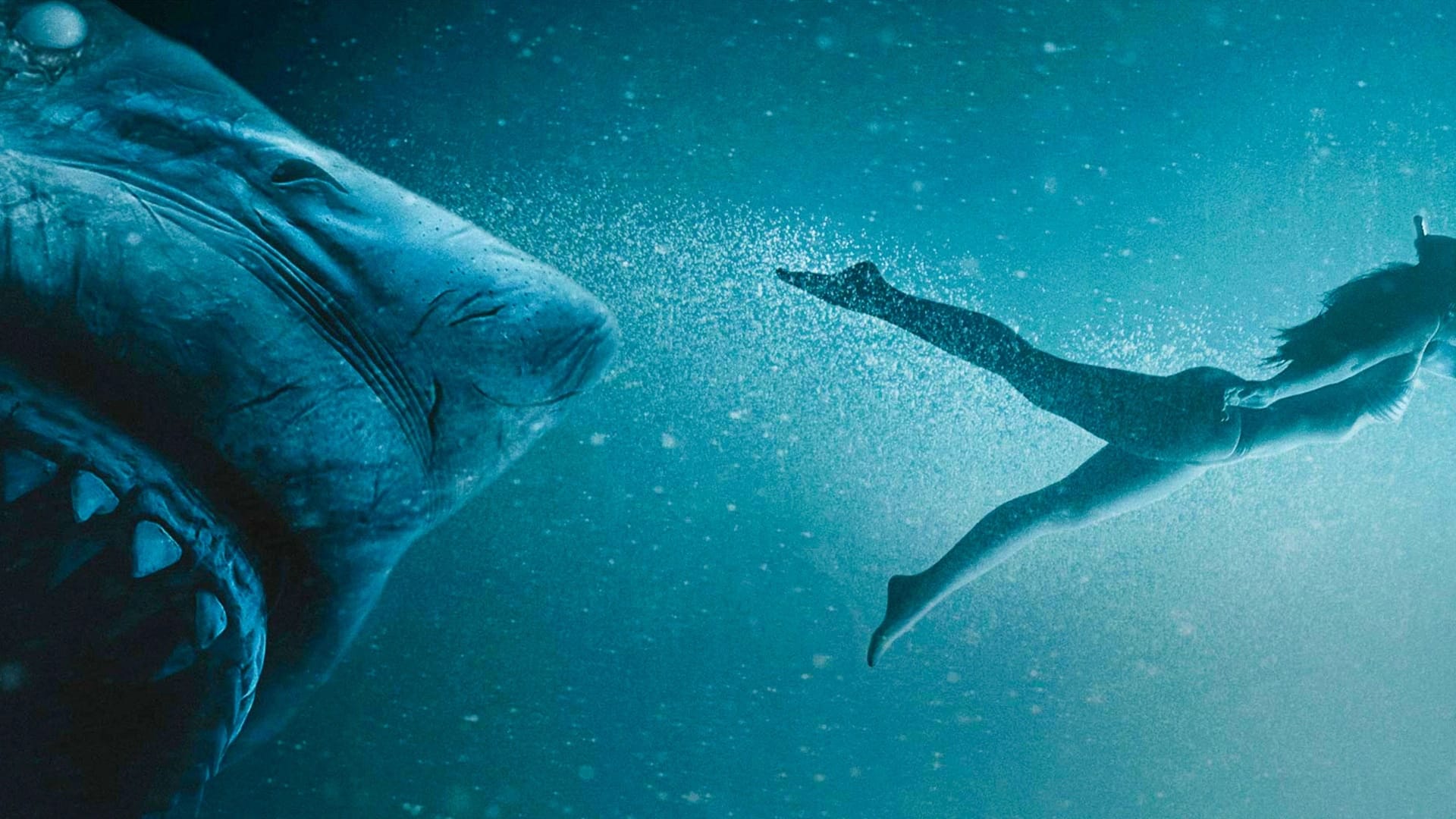 47 متر پایین: بدون قفس